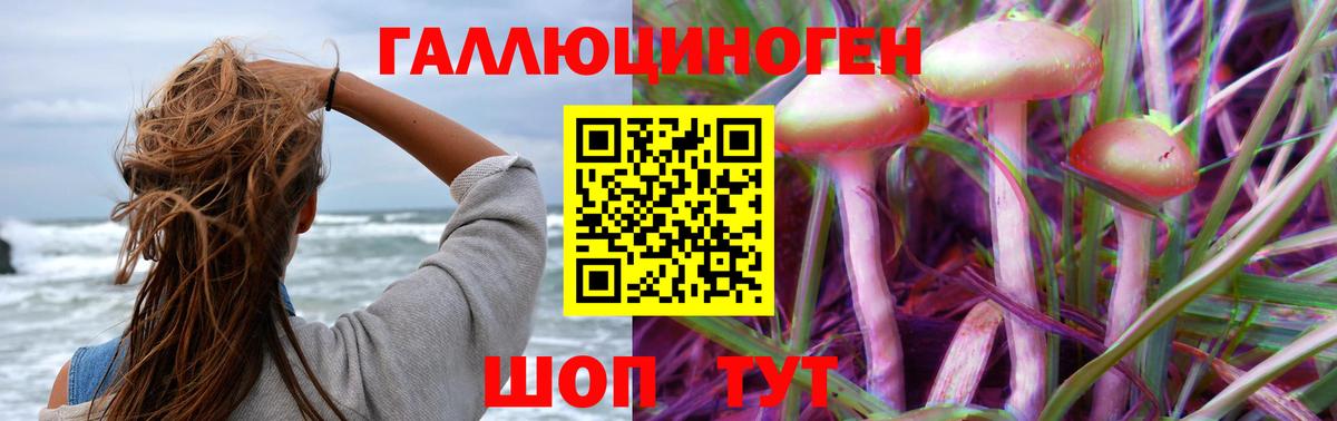 Псилоцибиновые грибы GOLDEN TEACHER Заводоуковск